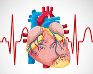 Heart Rhythm Management Devices