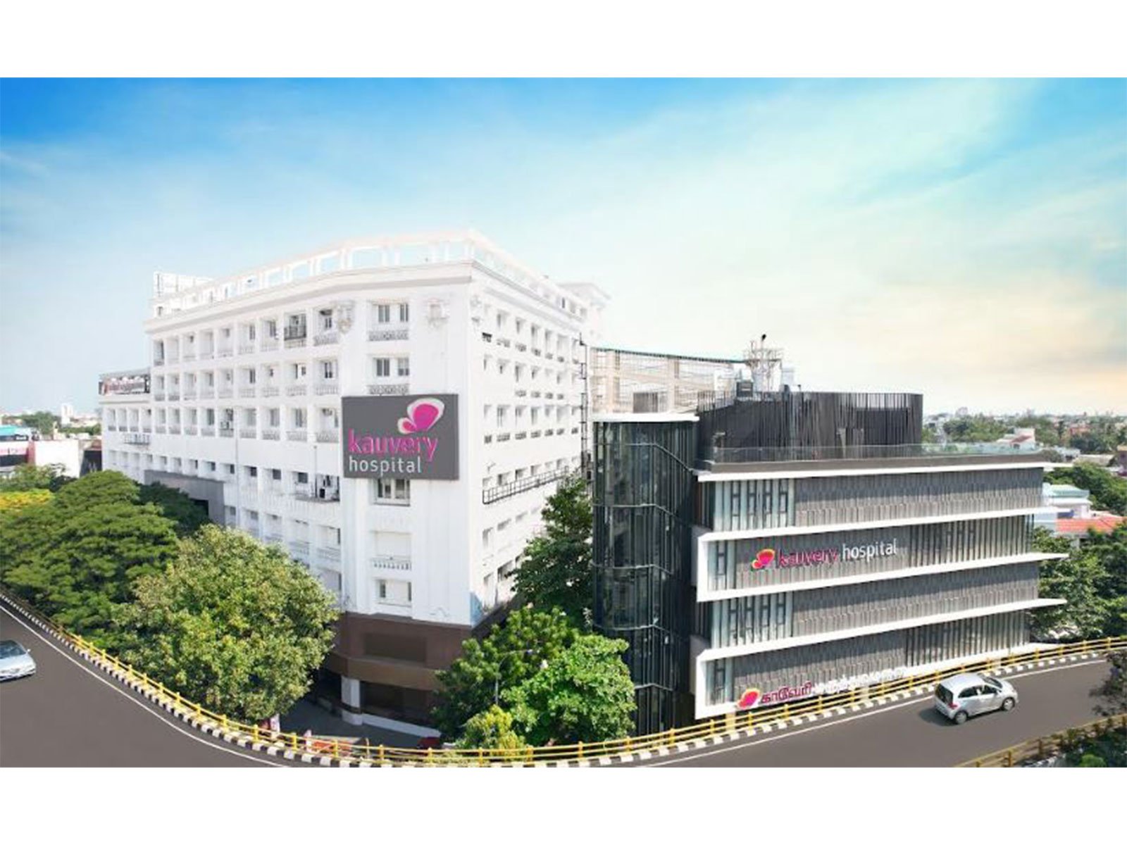 High Risk Cardiac Care through Cryoablation and RF ablation